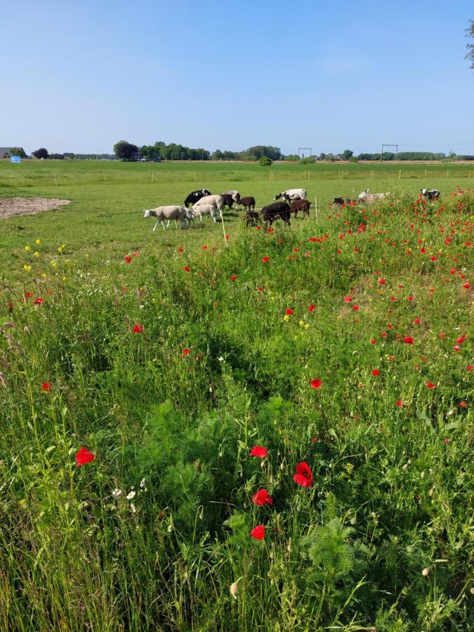 Boerderijkamer 'T Keukentje Wijhe Exterior foto